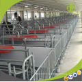 Caisses de mise bas pour cochons Pig Farm Equipements Pen Pen